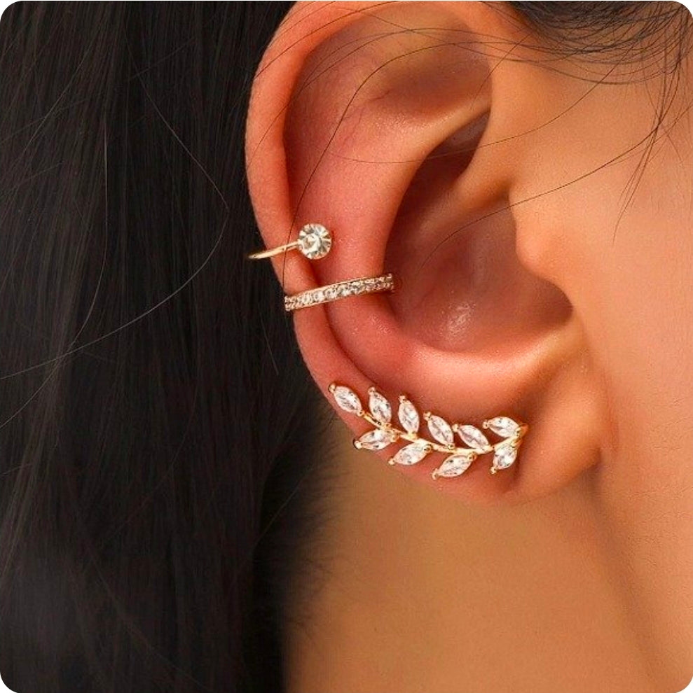 CLIP OREJA